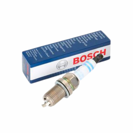 CANDELE BOSCH